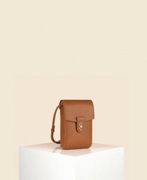 Brown Cafuné Trunk Box Women's Crossbody Bags | FSD2648EF